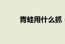 青蛙用什么抓（青蛙用什么呼吸）