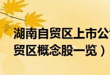 湖南自贸区上市公司有哪些（2021年湖南自贸区概念股一览）