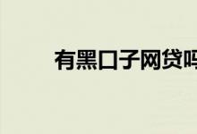有黑口子网贷吗?（网黑贷款口子）