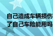 自己造成车辆损伤可以报车险吗 自己出车祸了自己车险能用吗