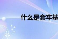 什么是套牢基金（什么是套牢）