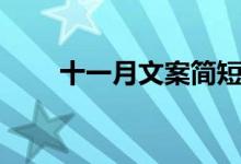 十一月文案简短干净（十一月文案）
