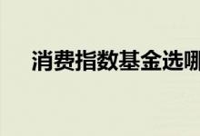 消费指数基金选哪个 有消费指数基金吗
