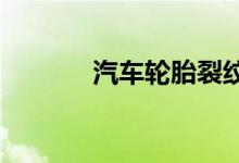  汽车轮胎裂纹到什么程度要换 