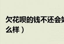 欠花呗的钱不还会如何（欠花呗的钱不还会怎么样）