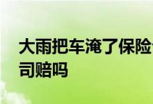 大雨把车淹了保险公司赔不 大雨淹车保险公司赔吗