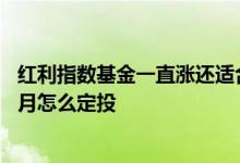 红利指数基金一直涨还适合定投吗 定投上证红利指数基金每月怎么定投