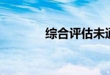 综合评估未通过（无法借钱）