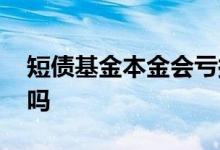 短债基金本金会亏损吗 纯债基金可以亏本金吗