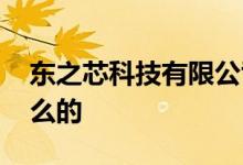 东之芯科技有限公司怎么样 东芯股份是做什么的