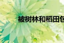  被树林和稻田包围的公共生活空间 