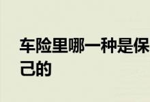 车险里哪一种是保自己的 车险里什么是管自己的