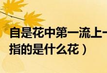 自是花中第一流上一句是啥（自是花中第一流指的是什么花）