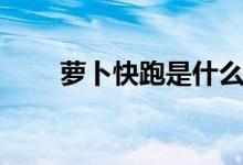 萝卜快跑是什么（萝卜快跑是什么）