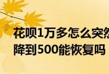 花呗1万多怎么突然下降到500 花呗从1万多降到500能恢复吗
