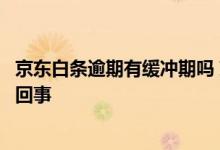 京东白条逾期有缓冲期吗 京东白条逾期锁定还显示额度怎么回事