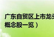 广东自贸区上市龙头企业有哪些（广东自贸区概念股一览）