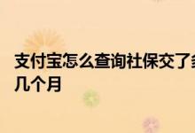支付宝怎么查询社保交了多长时间 支付宝怎么查询社保交了几个月