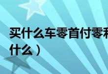 买什么车零首付零利息（买车零首付利息费是什么）