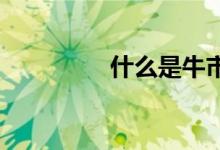什么是牛市和熊市及周期