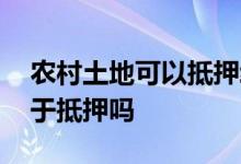 农村土地可以抵押给个人吗 农村土地可以用于抵押吗