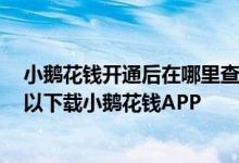 小鹅花钱开通后在哪里查看 想申请开通小鹅花钱 在哪里可以下载小鹅花钱APP