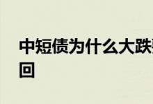 中短债为什么大跌要赎回 债基大跌要不要赎回