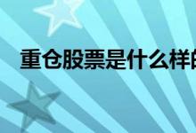 重仓股票是什么样的 重仓股票是什么意思