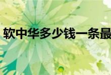 软中华多少钱一条最好（软中华多少钱一条）
