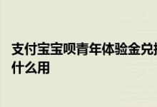 支付宝宝呗青年体验金兑换东西 支付宝宝贝呗青年体验金有什么用