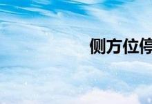 侧方位停车技巧讲解 