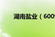 湖南盐业（600929）十大流通股东