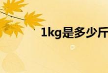 1kg是多少斤（1kg是多少斤）