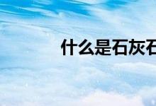  什么是石灰石？文字清晰明了 