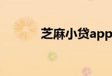 芝麻小贷app入口（芝麻小贷）