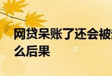 网贷呆账了还会被起诉吗 网贷呆账不还有什么后果