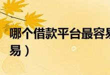 哪个借款平台最容易借款（借款平台哪个最容易）