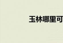 玉林哪里可以买到惠君宝？