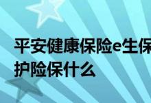 平安健康保险e生保续保版是什么 平安健康守护险保什么