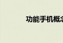 功能手机概念有哪些股票（）