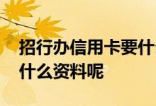 招行办信用卡要什么资料 招行办信用卡需要什么资料呢