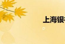 上海银行网上银行