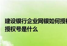建设银行企业网银如何授权 建设银行：个人网银委托授权的授权号是什么