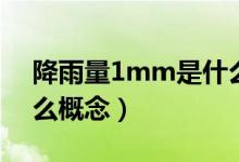 降雨量1mm是什么概念（降雨量1mm是什么概念）