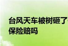台风天车被树砸了保险赔吗 台风天车被淹了保险赔吗