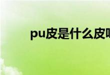 pu皮是什么皮呀（pu皮是什么皮）