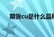 期货cu是什么品种 期货CU是什么品种