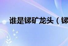 谁是锑矿龙头（锑矿价格行情走势分析）
