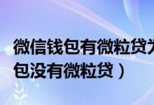 微信钱包有微粒贷为什么不能借钱（我微信钱包没有微粒贷）
