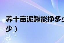 养十亩泥鳅能挣多少钱（养泥鳅一亩一般赚多少）